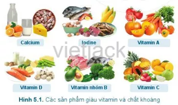 Quan sát Hình 5.1, cho biết các chất khoáng và vitamin có trong những thực phẩm nào Cau Hoi 2 Trang 25 Cong Nghe Lop 6 Canh Dieu