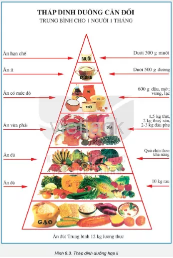 Tham khảo Bảng 6.2 và Hình 6.3, xây dựng thực đơn bữa ăn để đáp ứng nhu cầu dinh dưỡng cho cả Cau Hoi 3 Trang 34 1 Cong Nghe Lop 6 Ket Noi Tri Thuc