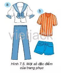 Quan sát hai bộ trang phục trong Hình 7.5 và chỉ ra sự khác  nhau về kiểu dáng Kham Pha Trang 42 Cong Nghe Lop 6 Ket Noi Tri Thuc