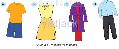 Trong Hình 8.5, các bộ trang phục được phối hợp màu theo nguyên tắc nào Luyen Tap Trang 47 Cong Nghe Lop 6 Ket Noi Tri Thuc