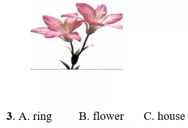 Đề thi môn Tiếng Anh lớp 2 Học kì 2 có đáp án (Đề 1) De Thi Mon Tieng Anh Lop 2 Hoc Ki 2 1 12