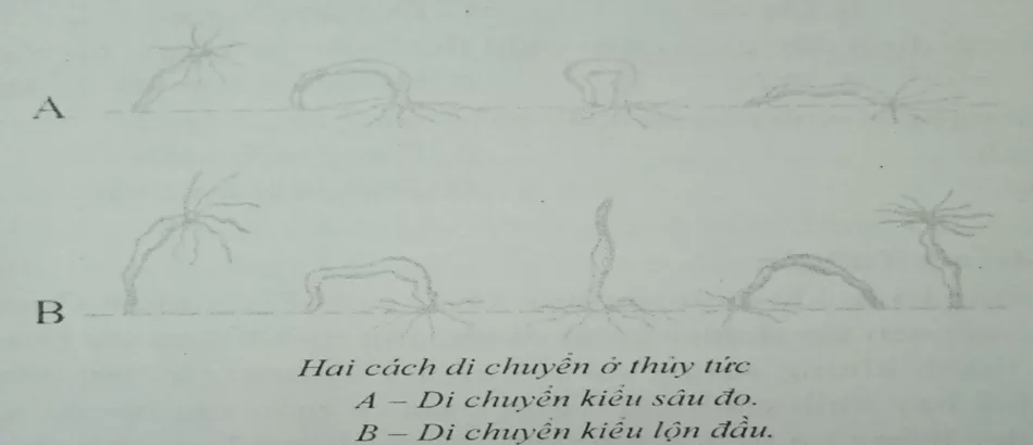 Đề kiểm tra Sinh học lớp 7 có đáp án De 1 Sinh 1 Tiet Ki 1 Cau 1 Tl