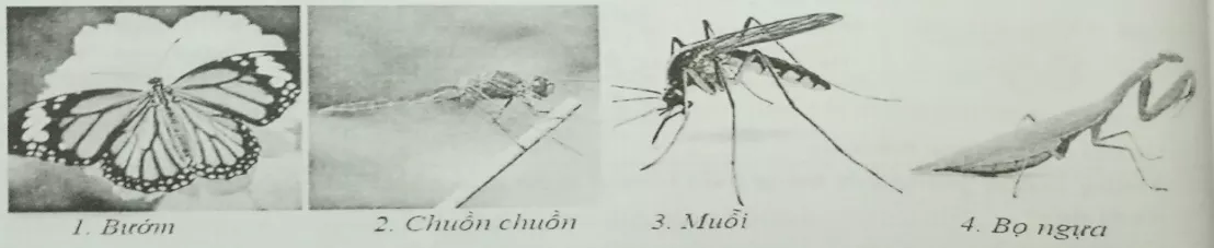 Đề kiểm tra Sinh học lớp 7 có đáp án De 1 Sinh 1 Tiet Ki 1 Cau 2 Tn