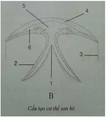 Đề kiểm tra Sinh học lớp 7 có đáp án De 4 Sinh 1 Tiet Ki 1 Cau 5 Tn