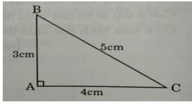 Đề thi Toán lớp 5 Học kì 1, Học kì 2 chọn lọc, có đáp án De 7 Cuoi Ki 1 Cau 6