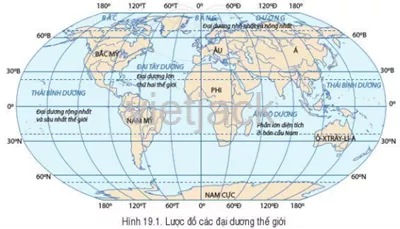 Dựa vào hình 19.1 và bảng 19.1, hãy nêu đặc điểm nổi bật của mỗi đại dương Luyen Tap 1 Trang 173 Dia Li Lop 6 Canh Dieu 1
