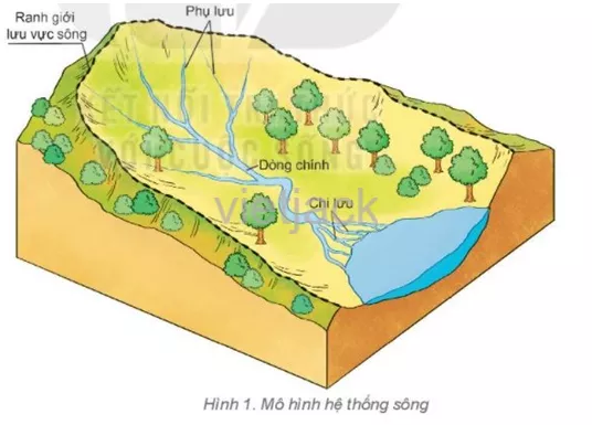 quan sát hình 1, em hãy mô tả các bộ phận của một dòng sông lớn Cau Hoi 1 Trang 158 Dia Li Lop 6 Ket Noi Tri Thuc