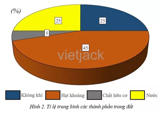 Quan sát hình 2, cho biết đất bao gồm những thành phần nào Cau Hoi 2 Trang 168 Dia Li Lop 6 Ket Noi Tri Thuc