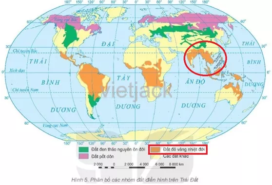 Dựa vào bản đồ hình 5, cho biết tên nhóm đất phổ biến ở nước ta Luyen Tap 1 Trang 170 Dia Li Lop 6 Ket Noi Tri Thuc