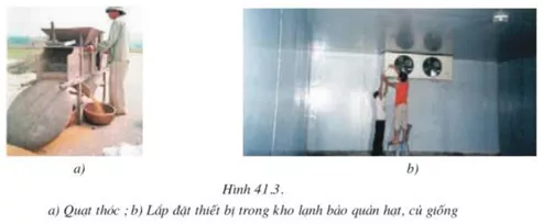 Lý thuyết Công nghệ 10  Bài 41: Bảo quản hạt, củ làm giống (hay, chi tiết) | Lý thuyết Công nghệ 10 đầy đủ nhất Ly Thuyet Bao Quan Hat Cu Lam Giong 2