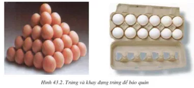 Lý thuyết Công nghệ 10  Bài 43: Bảo quản thịt, trứng, sữa và cá (hay, chi tiết) | Lý thuyết Công nghệ 10 đầy đủ nhất Ly Thuyet Bao Quan Thit Trung Sua Va Ca