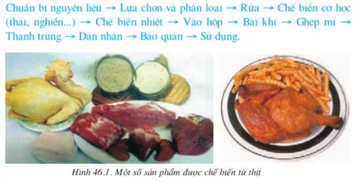 Lý thuyết Công nghệ 10  Bài 46: Chế biến sản phẩm chăn nuôi, thủy sản (hay, chi tiết) | Lý thuyết Công nghệ 10 đầy đủ nhất Ly Thuyet Che Bien San Pham Chan Nuoi Thuy San