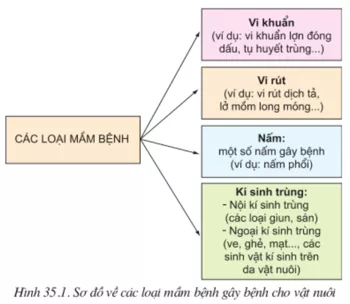 Lý thuyết Công nghệ 10 Bài 35: Điều kiện phát sinh, phát triển bệnh ở vật nuôi (hay, chi tiết) | Lý thuyết Công nghệ 10 đầy đủ nhất Ly Thuyet Dieu Kien Phat Sinh Phat Trien Benh O Vat Nuoi