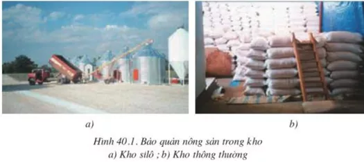 Lý thuyết Công nghệ 10 Bài 40: Mục đích, ý nghĩa của công tác bảo quản, chế biến nông, lâm, thủy sản (hay, chi tiết) | Lý thuyết Công nghệ 10 đầy đủ nhất Ly Thuyet Muc Dich Y Nghia Cua Cong Tac Bao Quan Che Bien Nong Lam Thuy San