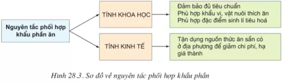 Lý thuyết Công nghệ 10 Bài 28: Nhu cầu dinh dưỡng của vật nuôi (hay, chi tiết) | Lý thuyết Công nghệ 10 đầy đủ nhất Ly Thuyet Nhu Cau Dinh Duong Cua Vat Nuoi 1