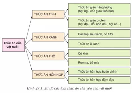 Lý thuyết Công nghệ 10 Bài 29: Sản xuất thức ăn cho vật nuôi (hay, chi tiết) | Lý thuyết Công nghệ 10 đầy đủ nhất Ly Thuyet San Xuat Thuc An Cho Vat Nuoi