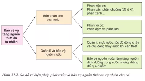 Lý thuyết Công nghệ 10 Bài 31: Sản xuất thức ăn nuôi thủy sản (hay, chi tiết) | Lý thuyết Công nghệ 10 đầy đủ nhất Ly Thuyet San Xuat Thuc An Nuoi Thuy San 1