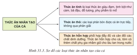 Lý thuyết Công nghệ 10 Bài 31: Sản xuất thức ăn nuôi thủy sản (hay, chi tiết) | Lý thuyết Công nghệ 10 đầy đủ nhất Ly Thuyet San Xuat Thuc An Nuoi Thuy San 2
