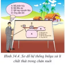 Lý thuyết Công nghệ 10 Bài 34: Tạo môi trường sống cho vật nuôi và thủy sản (hay, chi tiết) | Lý thuyết Công nghệ 10 đầy đủ nhất Ly Thuyet Tao Moi Truong Song Cho Vat Nuoi Va Thuy San 1