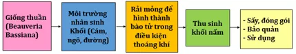 Lý thuyết Công nghệ 10 Bài 20: Ứng dụng công nghệ vi sinh sản xuất chế phẩm bảo vệ thực vật (hay, chi tiết) | Lý thuyết Công nghệ 10 đầy đủ nhất Ly Thuyet Ung Dung Cong Nghe Vi Sinh San Xuat Che Pham Bao Ve Thuc Vat 2