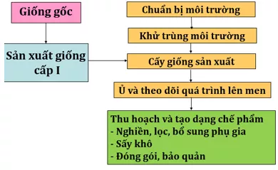 Lý thuyết Công nghệ 10 Bài 20: Ứng dụng công nghệ vi sinh sản xuất chế phẩm bảo vệ thực vật (hay, chi tiết) | Lý thuyết Công nghệ 10 đầy đủ nhất Ly Thuyet Ung Dung Cong Nghe Vi Sinh San Xuat Che Pham Bao Ve Thuc Vat