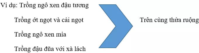 Lý thuyết Công nghệ 7 Bài 21: Luân canh, xen canh, tăng vụ (hay, chi tiết) Ly Thuyet Luan Canh Xen Canh Tang Vu