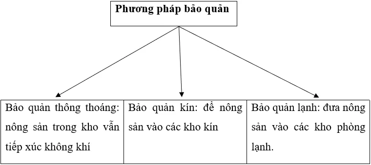 Lý thuyết Công nghệ 7 Bài 20: Thu hoạch, bảo quản và chế biến nông sản (hay, chi tiết) Ly Thuyet Thu Hoach Bao Quan Va Che Bien Nong San