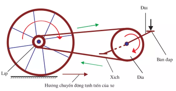 Lý thuyết Công nghệ 9 Bài 3: Nguyên lí chuyển động của xe đạp Ly Thuyet Bai 3 Nguyen Li Chuyen Dong Xe Dap