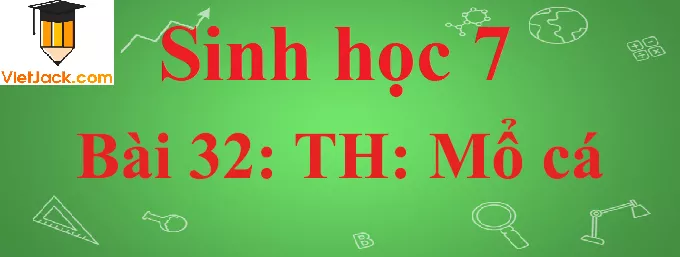 Sinh học lớp 7 Bài 32: Thực hành: Mổ cá ngắn nhất Sinh Hoc 7 Bai 32 Thuc Hanh Mo Ca Anhbia