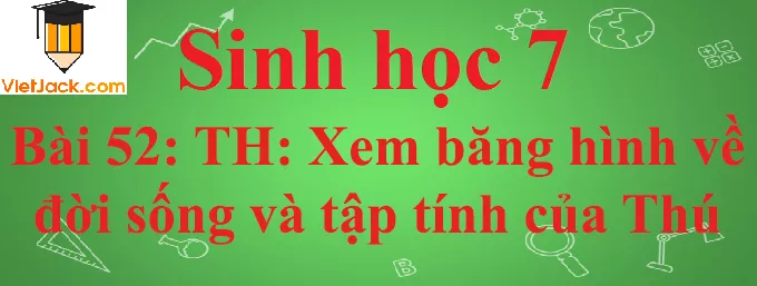 Sinh học lớp 7 Bài 52: Thực hành: Xem băng hình về đời sống và tập tính của Thú ngắn nhất Sinh Hoc 7 Bai 52 Thuc Hanh Xem Bang Hinh Ve Doi Song Va Tap Tinh Cua Thu Anhbia