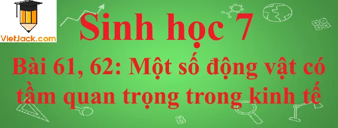 Sinh học lớp 7 Bài 61, 62: Tìm hiểu một số động vật có tầm quan trọng trong kinh tế ở địa phương ngắn nhất Sinh Hoc 7 Bai 61 62 Tim Hieu Mot So Dong Vat Co Tam Quan Trong Trong Kinh Te Anhbia