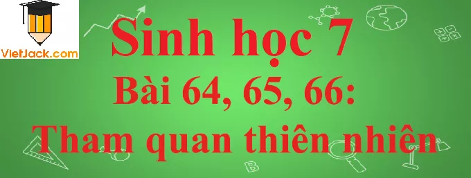 Sinh học lớp 7 Bài 64, 65, 66: Tham quan thiên nhiên ngắn nhất Sinh Hoc 7 Bai 64 65 66 Tham Quan Thien Nhien Anhbia