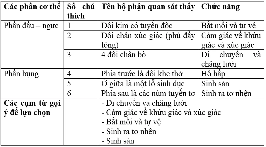 Giải bài tập Sinh học 7 | Để học tốt Sinh 7 Tra Loi Cau Hoi Sinh 7 Bai 25 Trang 82 1