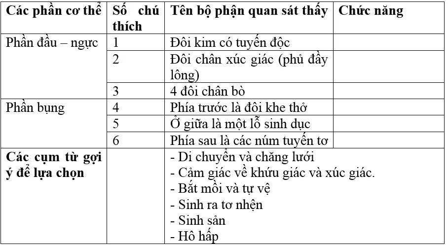 Giải bài tập Sinh học 7 | Để học tốt Sinh 7 Tra Loi Cau Hoi Sinh 7 Bai 25 Trang 82