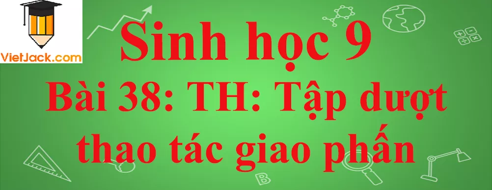 Sinh học lớp 9 Bài 38: Thực hành: Tập dượt thao tác giao phấn ngắn nhất Sinh Hoc 9 Bai 38 Thuc Hanh Tap Duot Thao Tac Giao Phan Anhbia