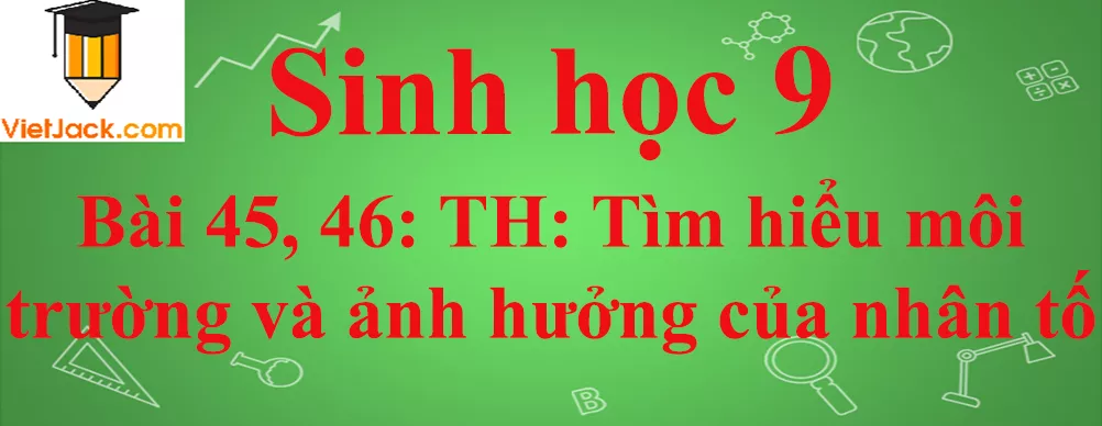 Sinh học lớp 9 Bài 45, 46: Thực hành: Tìm hiểu môi trường và ảnh hưởng của một số nhân tố sinh thái lên đời sống sinh vật ngắn nhất Sinh Hoc 9 Bai 45 46 Thuc Hanh Tim Hieu Moi Truong Va Anh Huong Cua Mot So Nhan To Anhbia