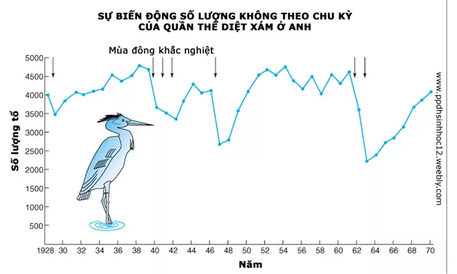 Lý thuyết Sinh học 12 Bài 39: Biến động số lượng cá thể của quần thể sinh vật | Lý thuyết Sinh học 12 đầy đủ, chi tiết nhất Ly Thuyet Bien Dong So Luong Ca The Cua Quan The Sinh Vat 1