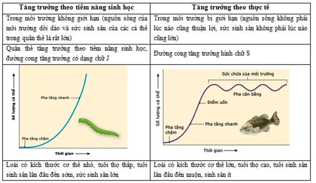 Lý thuyết Sinh học 12 Bài 38: Các đặc trưng cơ bản của quần thể sinh vật (tiếp theo) | Lý thuyết Sinh học 12 đầy đủ, chi tiết nhất Ly Thuyet Cac Dac Trung Co Ban Cua Quan The Sinh Vat Tiep Theo 2