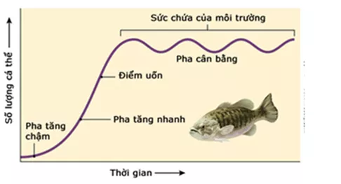 Lý thuyết Sinh học 12 Bài 38: Các đặc trưng cơ bản của quần thể sinh vật (tiếp theo) | Lý thuyết Sinh học 12 đầy đủ, chi tiết nhất Ly Thuyet Cac Dac Trung Co Ban Cua Quan The Sinh Vat Tiep Theo