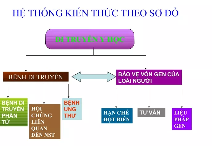 Lý thuyết Sinh học 12 Bài 21: Di truyền y học | Lý thuyết Sinh học 12 đầy đủ, chi tiết nhất Ly Thuyet Di Truyen Y Hoc