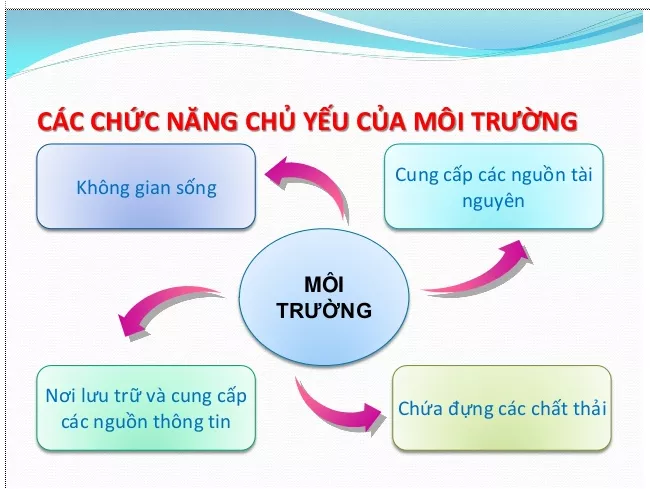 Lý thuyết Sinh học 12 Bài 35: Môi trường sống và các nhân tố sinh thái | Lý thuyết Sinh học 12 đầy đủ, chi tiết nhất Ly Thuyet Moi Truong Song Va Cac Nhan To Sinh Thai 1