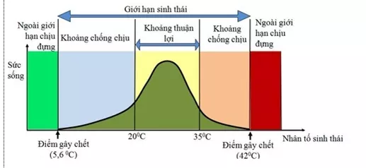 Lý thuyết Sinh học 12 Bài 35: Môi trường sống và các nhân tố sinh thái | Lý thuyết Sinh học 12 đầy đủ, chi tiết nhất Ly Thuyet Moi Truong Song Va Cac Nhan To Sinh Thai 3