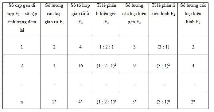 Lý thuyết Sinh học 12 Bài 9: Quy luật Menđen: Quy luật phân li độc lập | Lý thuyết Sinh học 12 đầy đủ, chi tiết nhất Ly Thuyet Quy Luat Menden Quy Luat Phan Li Doc Lap 3