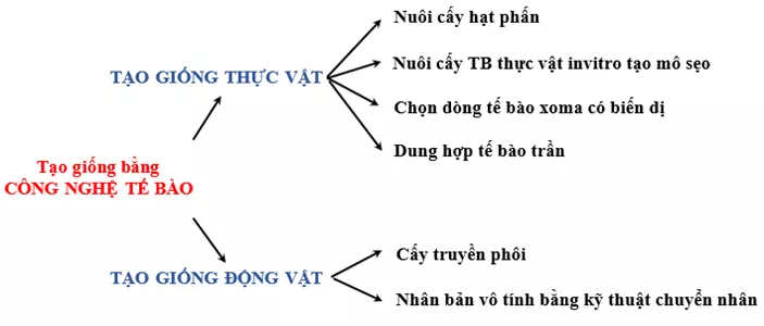 Lý thuyết Sinh học 12 Bài 19: Tạo giống bằng phương pháp gây đột biến và công nghệ tế bào | Lý thuyết Sinh học 12 đầy đủ, chi tiết nhất Ly Thuyet Tao Giong Bang Phuong Phap Gay Dot Bien Va Cong Nghe Te Bao 4