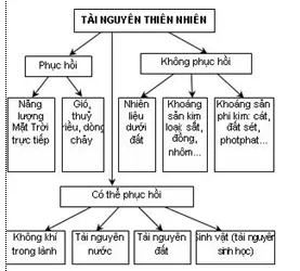 Lý thuyết Sinh học 12 Bài 46: Thực hành Quản lý và sử dụng bền vững tài nguyên thiên nhiên | Lý thuyết Sinh học 12 đầy đủ, chi tiết nhất Ly Thuyet Thuc Hanh Quan Ly Va Su Dung Ben Vung Tai Nguyen Thien Nhien