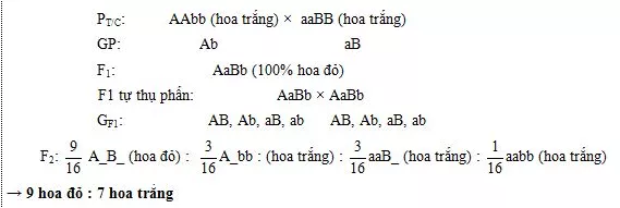 Lý thuyết Sinh học 12 Bài 10: Tương tác gen và tác động đa hiệu của gen | Lý thuyết Sinh học 12 đầy đủ, chi tiết nhất Ly Thuyet Tuong Tac Gen Va Tac Dong Da Hieu Cua Gen 1