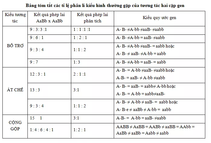 Lý thuyết Sinh học 12 Bài 10: Tương tác gen và tác động đa hiệu của gen | Lý thuyết Sinh học 12 đầy đủ, chi tiết nhất Ly Thuyet Tuong Tac Gen Va Tac Dong Da Hieu Cua Gen 2