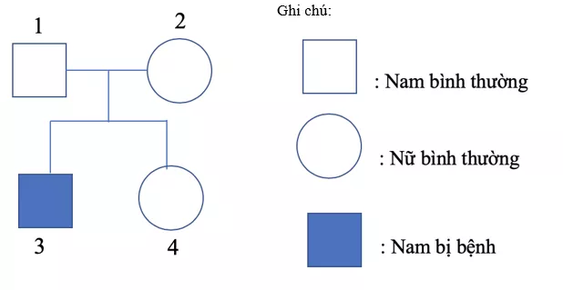 Trắc nghiệm Sinh học 9 Bài 28 (có đáp án) : Phương pháp nghiên cứu di truyền người Trac Nghiem Bai 28 Phuong Phap Nghien Cuu Di Truyen Nguoi 2