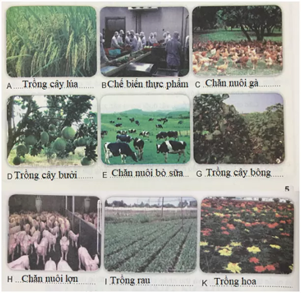Công nghệ 7 VNEN Bài 1: Mở đầu về nông nghiệp | Hay nhất Giải bài tập Công nghệ 7 VNEN Bai 1 Mo Dau Ve Nong Nghiep 2