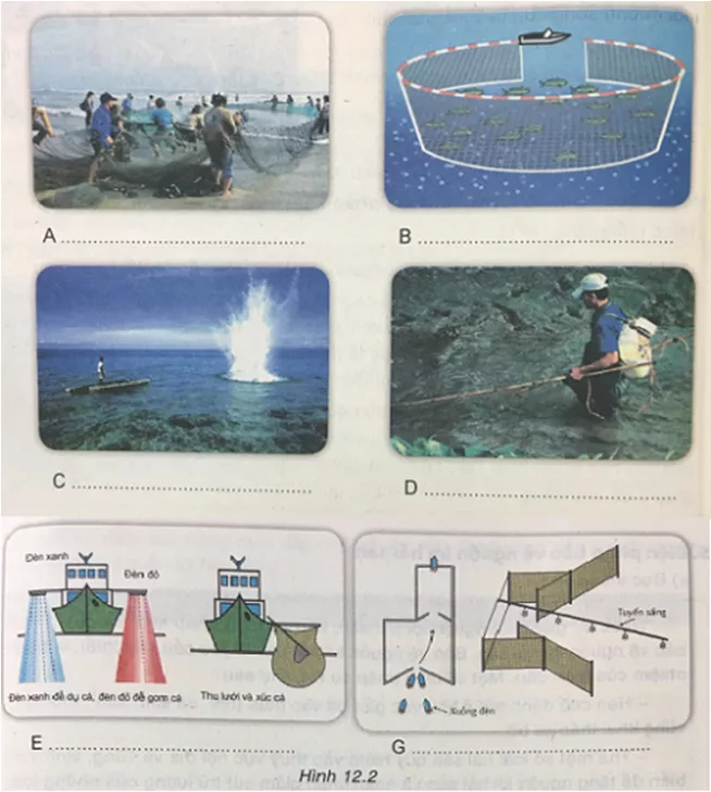Công nghệ 7 VNEN Bài 12: Khai thác và bảo vệ nguồn lợi hải sản | Hay nhất Giải bài tập Công nghệ 7 VNEN Bai 12 Khai Thac Va Bao Ve Nguon Hai San 3